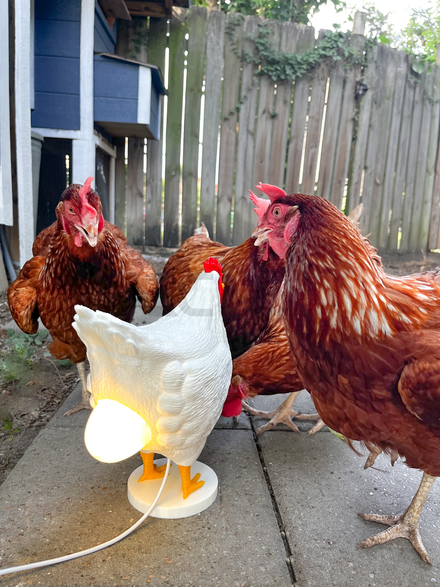 Clucky Luminary: 3D Printed Chicken & Egg Light - Your Cozy Companion