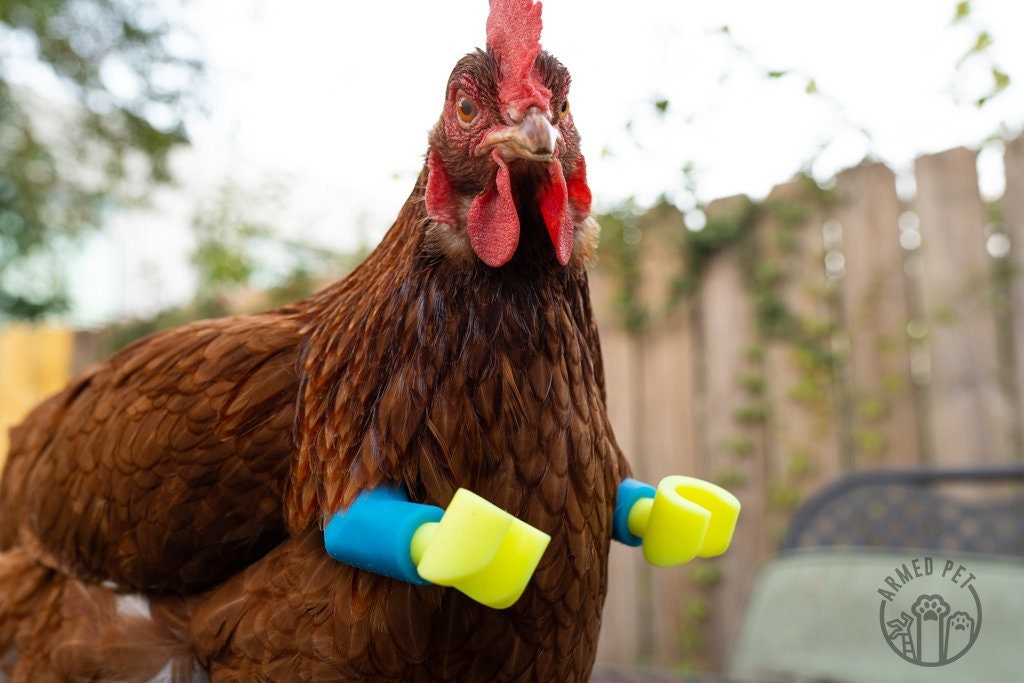 ArmedPet Blue Block Chicken Arms Made in Texas Meme Original Chicken Gift Chicken Arms for Chicken to wear Arms for Birds Novelty Gift
