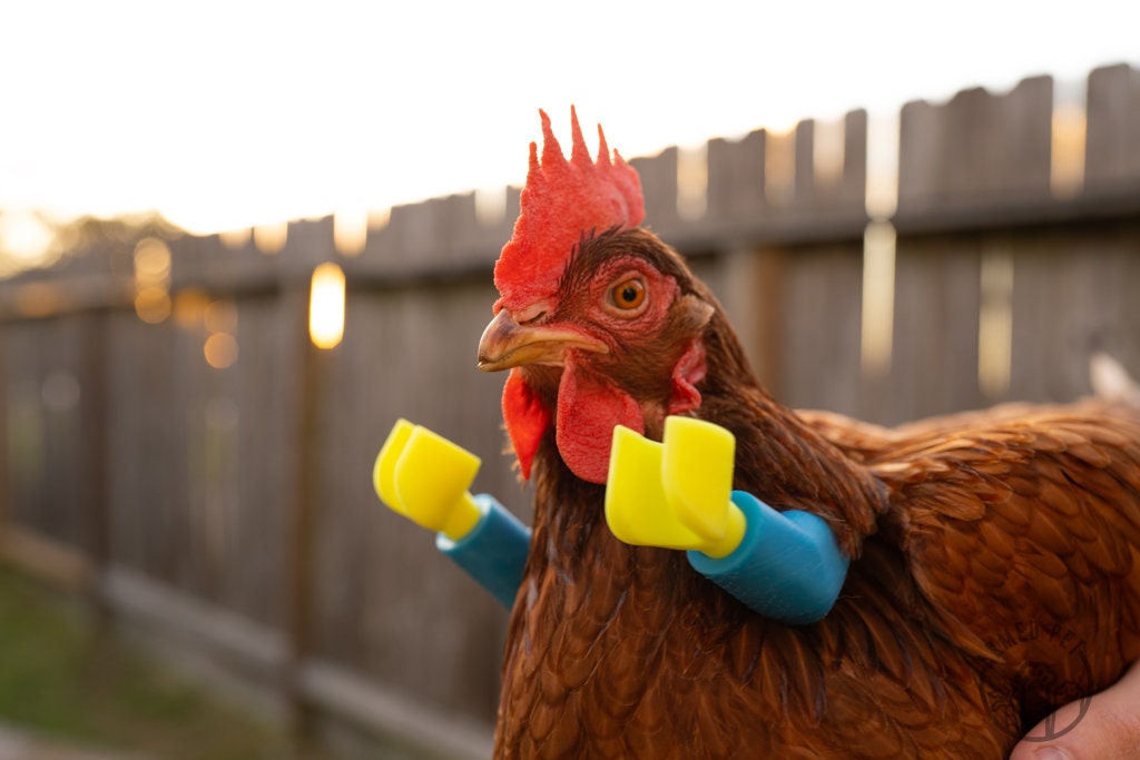 ArmedPet Blue Block Chicken Arms Made in Texas Meme Original Chicken Gift Chicken Arms for Chicken to wear Arms for Birds Novelty Gift