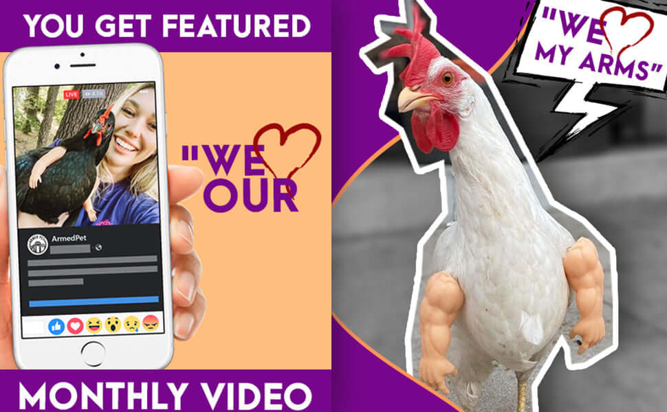 As Seen On FB Strong Chicken Arm Armed Chicken Meme Chicken Arm For Chickens Black Friday