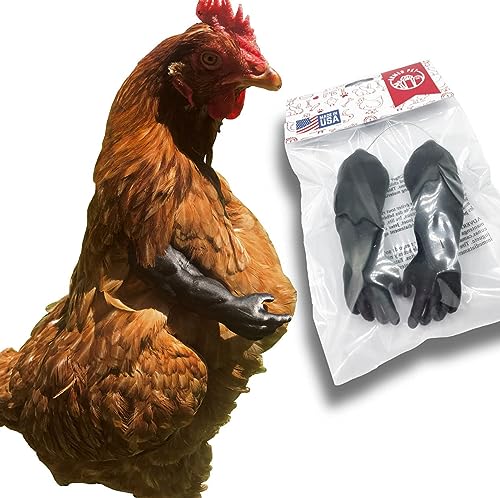 Black Strong Chicken Limited Edition Arms Gag Gift Chicken Arms for Chicken