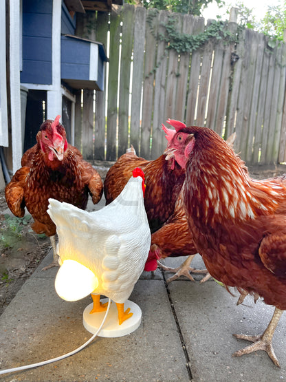 Clucky Luminary: 3D Printed Chicken & Egg Light - Your Cozy Companion