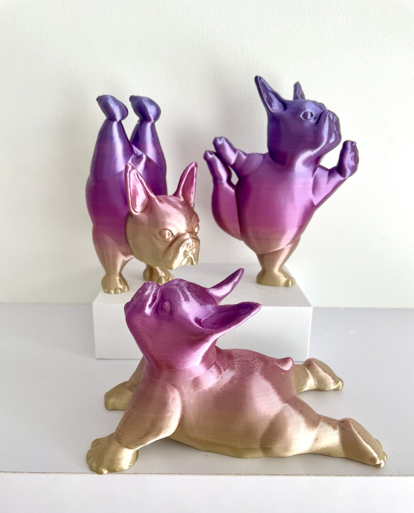 Boston Terrier Cute Display, Boston Terrier Lover, Dog Lover, Yoga, 3D Print, Dog Sculpture, Cute Decorative, Cute Gift