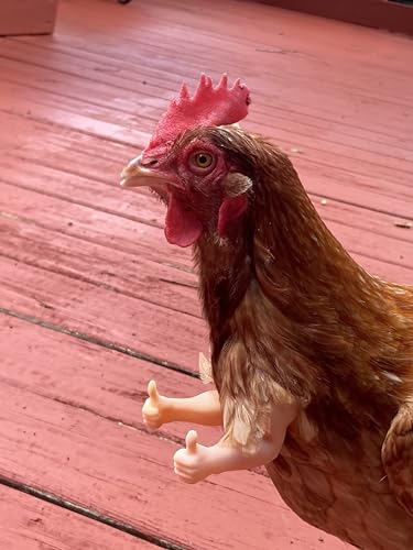 Thumbs Up Chicken Arms Made in Texas USA Meme Positive Alright Novelty Gift