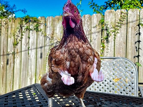 ArmedPet Middle Finger Chicken Arms For Viral Photos Made in USA Texas America Meme Fighting 3D Printed Doll Hands Muscle Arms Christmas