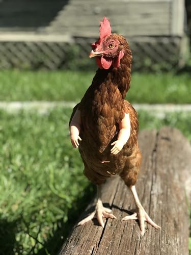 Baby Chicken arms Strong Muscle Arms Dinosaur Claw Chicken Funny Toys